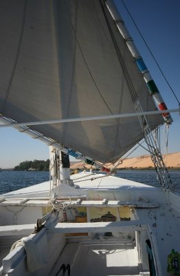 IMG_3036.jpg
