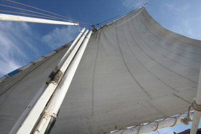 IMG_3178.jpg