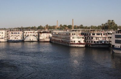 IMG_1006.jpg
