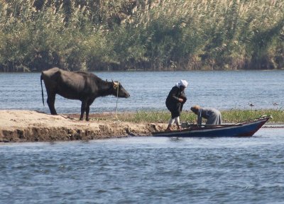 Fleuve Nil - Les rives