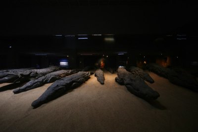 Kom-Ombo - Musée crocodile