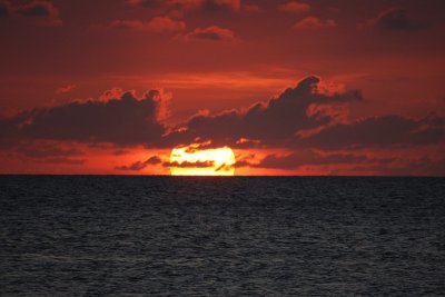 IMG_7424.jpg