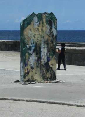 IMG_7850.jpg