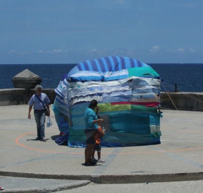 IMG_7851.jpg