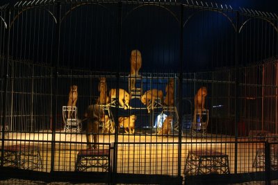 IMG_7209.JPG