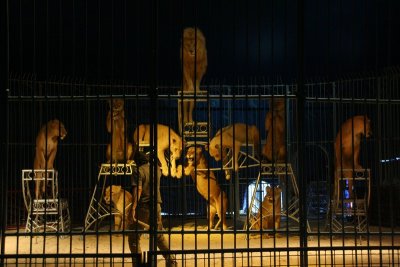 IMG_7212.JPG