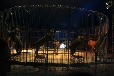 IMG_7254.JPG