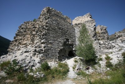 IMG_7893.jpg
