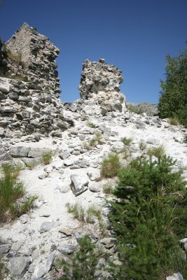 IMG_7896.jpg