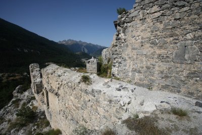 IMG_7901.jpg