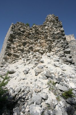 IMG_7904.jpg