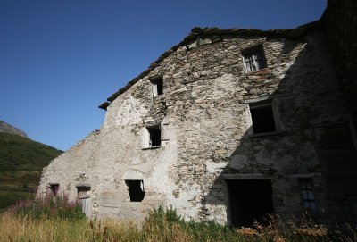 IMG_8181.jpg