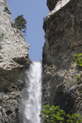 IMG_2464.jpg