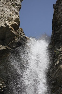 IMG_2467.jpg