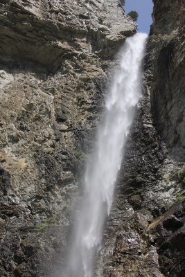 IMG_2482.jpg