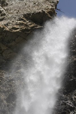 IMG_2487.jpg