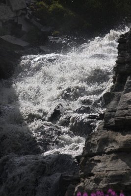 IMG_2944.jpg