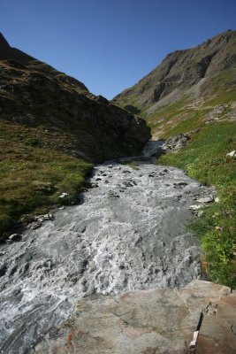 IMG_8781.jpg