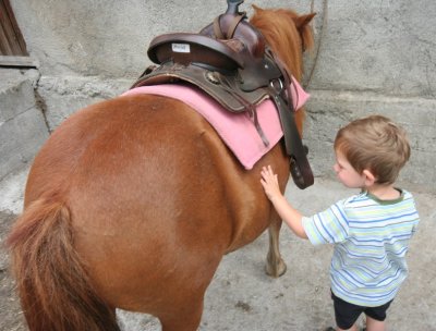 Poney -Tremignon