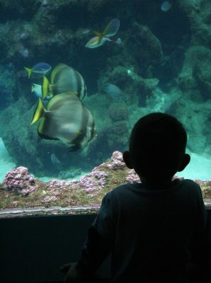 IMG_5862.jpg