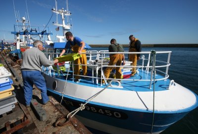 Retour pèche Guilvinec