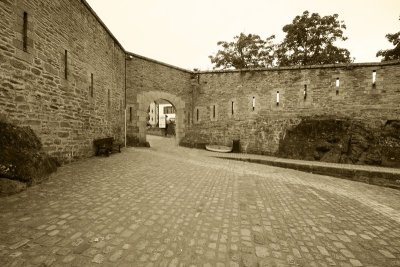 IMG_7085.jpg