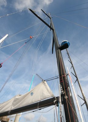 IMG_7352.jpg