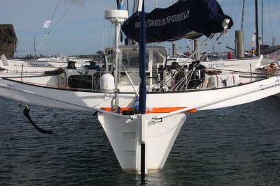 IMG_7598.jpg