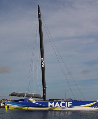 IMG_7664.jpg