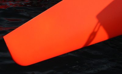 IMG_7738.jpg
