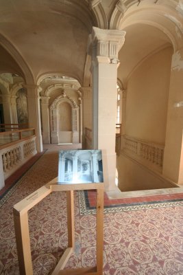 IMG_7650.jpg
