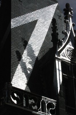 IMG_7932.jpg