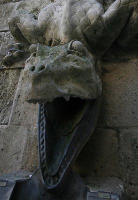 IMG_5112v2.jpg