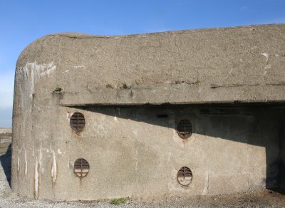 IMG_0213.jpg