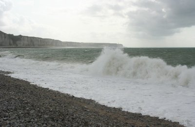 IMG_7183.jpg