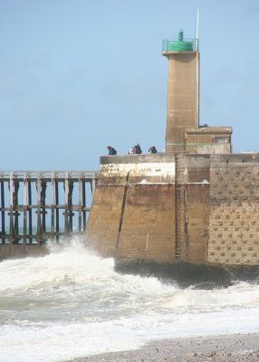 IMG_7288.jpg
