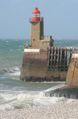 IMG_7331.jpg