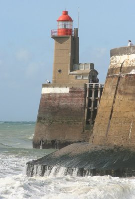 IMG_7401.jpg