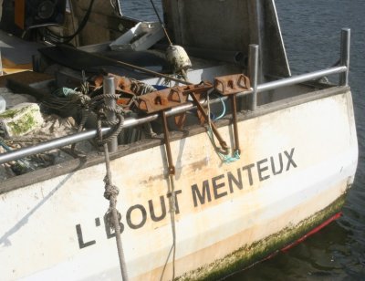 IMG_7459.jpg