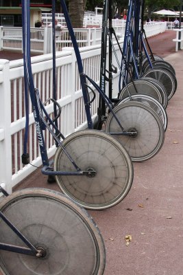 IMG_5553.jpg