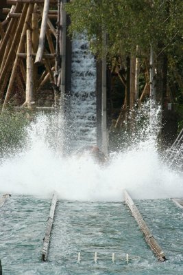 IMG_2803.jpg