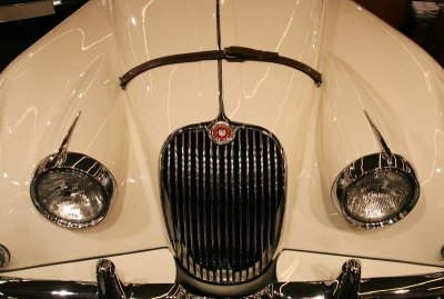 IMG_7737.jpg