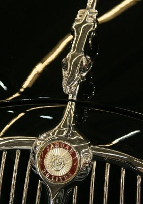 IMG_7738.jpg