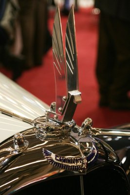 IMG_7790.jpg
