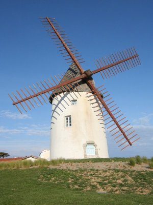 IMG_2619.jpg