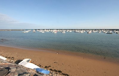 IMG_2628.jpg