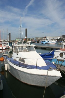 IMG_0105.jpg