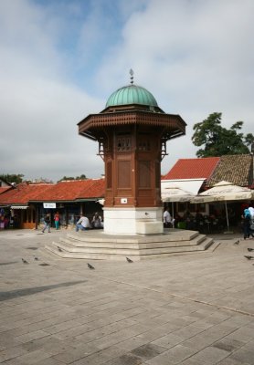 IMG_8999.JPG