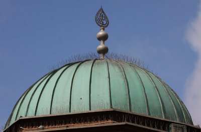 IMG_9123.jpg