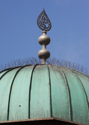 IMG_9127.JPG